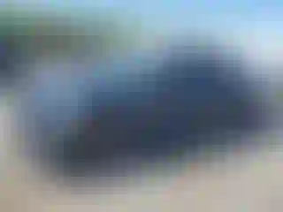 Vehicle Image- 2021 Honda Civic