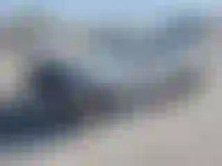 Vehicle Image- 2019 Honda Civic