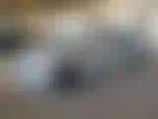 Vehicle Image- 2020 Honda Civic