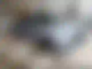 Vehicle Image- 2019 Honda Civic