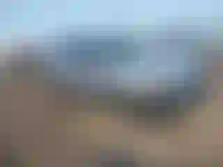 Vehicle Image- 2006 Honda CR-V