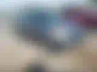 Vehicle Image- 2006 Honda CR-V