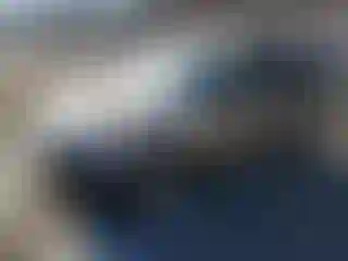 Vehicle Image- 2003 Honda CR-V
