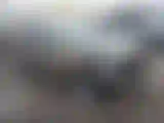 Vehicle Image- 2004 Honda CR-V