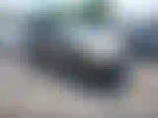 Vehicle Image- 2003 Honda CR-V