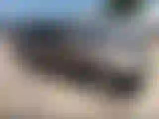 Vehicle Image- 2002 Honda CR-V