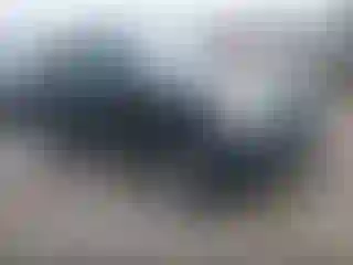 Vehicle Image- 2002 Honda CR-V