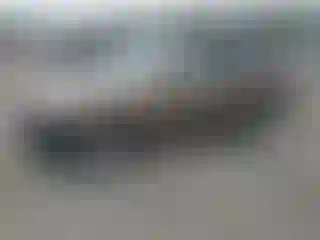 Vehicle Image- 2003 Honda CR-V