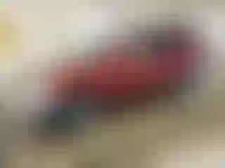 Vehicle Image- 2004 Honda CR-V