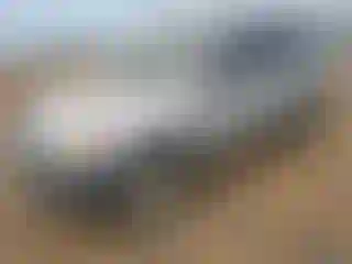 Vehicle Image- 2003 Honda CR-V