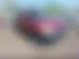 Vehicle Image- 2003 Honda CR-V