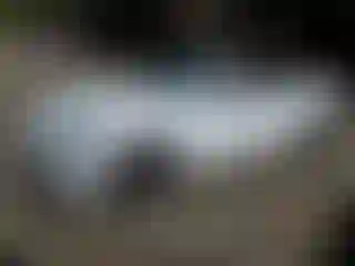 Vehicle Image- 2023 Mercedes Benz Klasa E