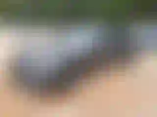 Vehicle Image- 2021 Mercedes Benz AMG GT