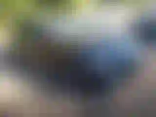 Vehicle Image- 2023 Mercedes Benz Klasa E