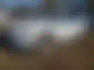 Vehicle Image- 2023 Audi A4