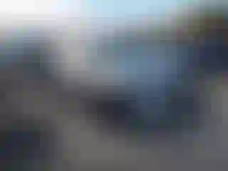 Vehicle Image- 2019 Audi Q7