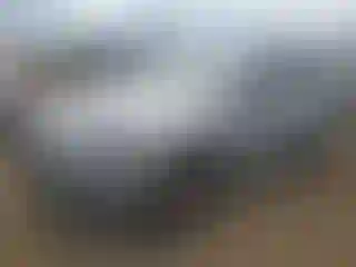 Vehicle Image- 2019 Audi Q7