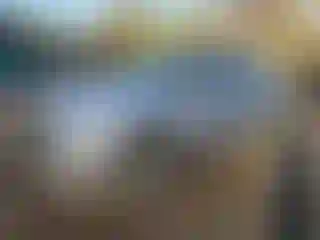 Vehicle Image- 2025 Audi Q5