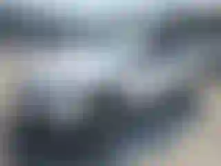 Vehicle Image- 2019 Audi Q5