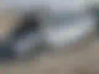 Vehicle Image- 2018 Audi Q5