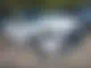 Vehicle Image- 2019 Audi Q5