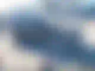 Vehicle Image- 2009 Audi Q7