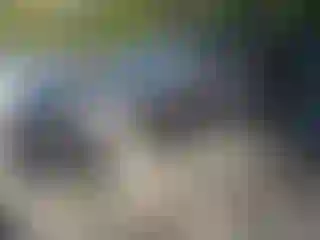 Vehicle Image- 2009 Audi Q7