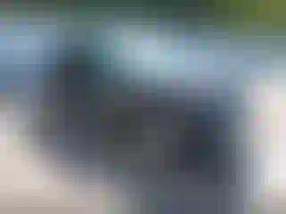 Vehicle Image- 2021 Audi Q5