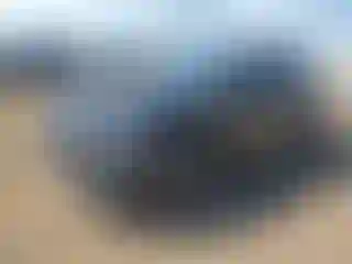 Vehicle Image- 2021 Audi Q5