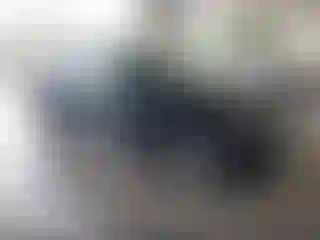 Vehicle Image- 2018 Audi Q5