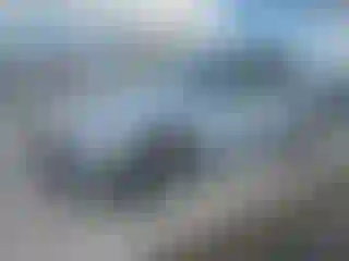 Vehicle Image- 2019 Audi Q5