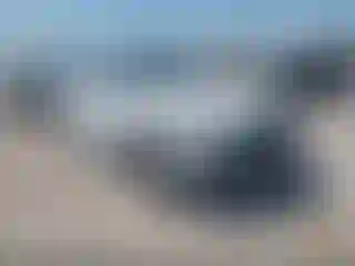 Vehicle Image- 2019 Audi Q5