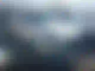 Vehicle Image- 2008 Audi Q7