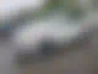 Vehicle Image- 2007 Audi Q7