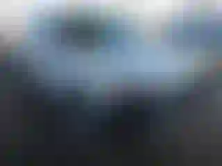 Vehicle Image- 2016 Audi Q5