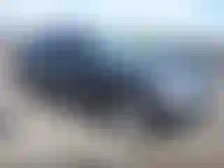 Vehicle Image- 2016 Audi Q5