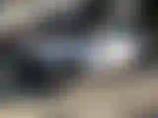 Vehicle Image- 2016 Audi Q5