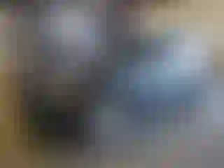 Vehicle Image- 2015 Audi Q5