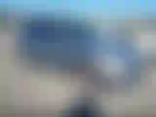 Vehicle Image- 2011 Audi Q5