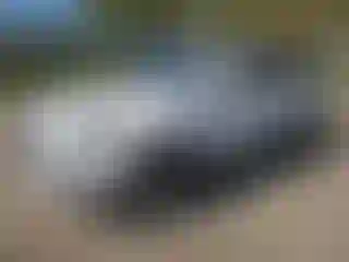 Vehicle Image- 2010 Audi Q7