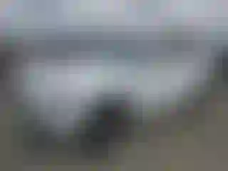 Vehicle Image- 2017 Audi Q5