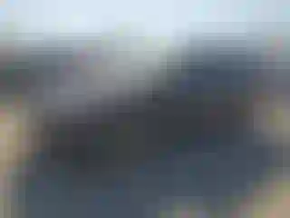 Vehicle Image- 2016 Audi Q5