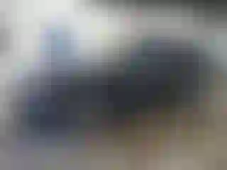 Vehicle Image- 2016 Audi Q5