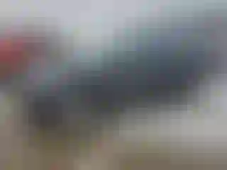 Vehicle Image- 2013 Audi Q7