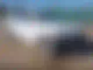 Vehicle Image- 2014 Audi Q7