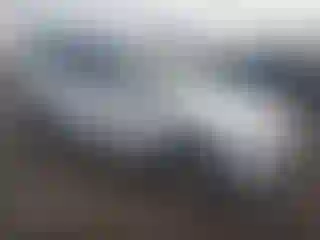 Vehicle Image- 2015 Audi Q5