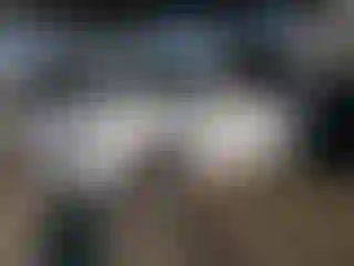 Vehicle Image- 2015 Audi Q5