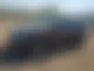 Vehicle Image- 2014 Audi Q5