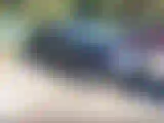 Vehicle Image- 2013 Audi Q5