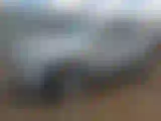 Vehicle Image- 2012 Audi Q5